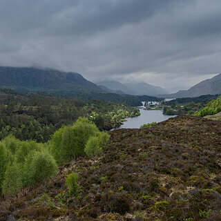Glen Affric